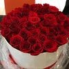 hongpham74